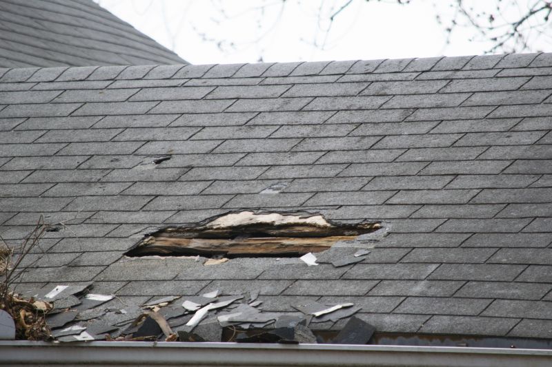 Asphalt Roof Leak Repair in Eldred, NY