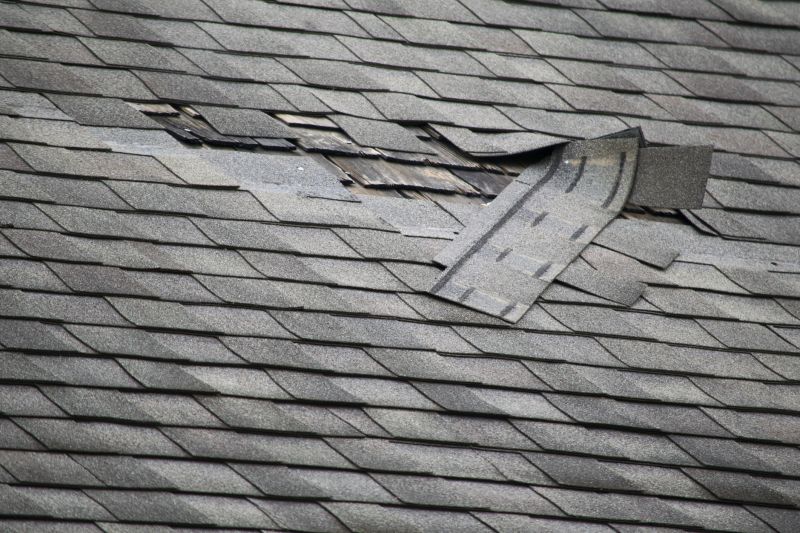 Asphalt Roof Leak Repair in Taylor, PA