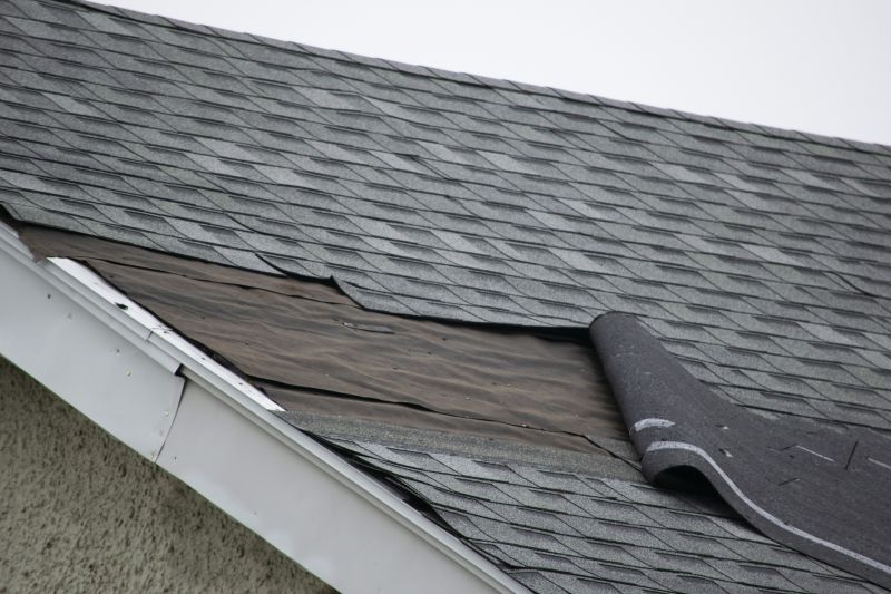 Asphalt Shingles Repair in Wayne County, PA