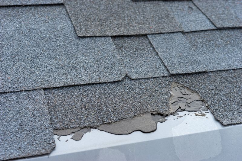 Damaged Roof Repair in Bushkill, PA