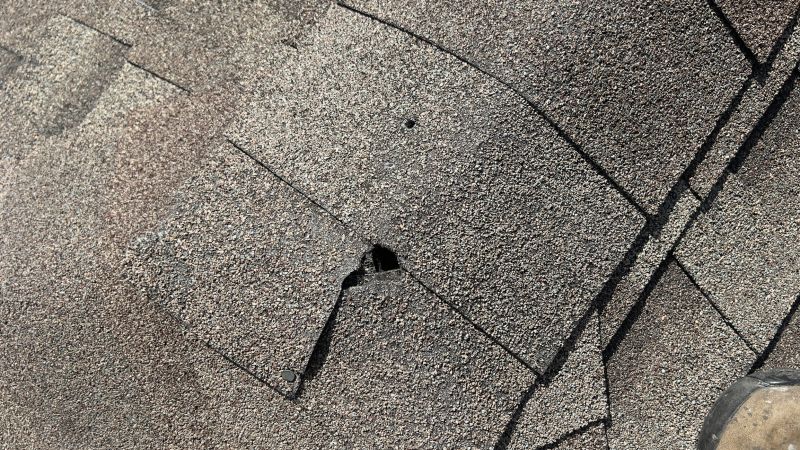 Damaged Roof Repair in Peckville, PA