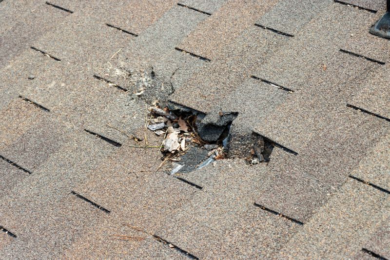 Damaged Roof Replacement in Wayne County, PA