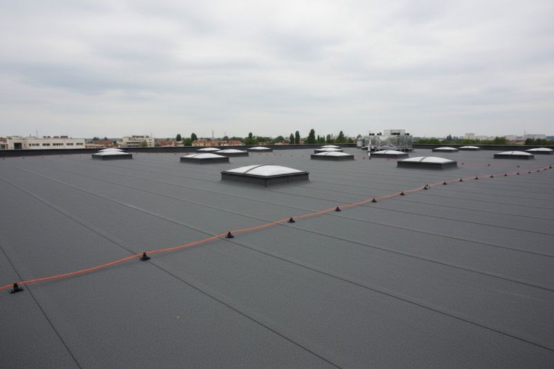 Flat Roof Replacement in Eldred, NY