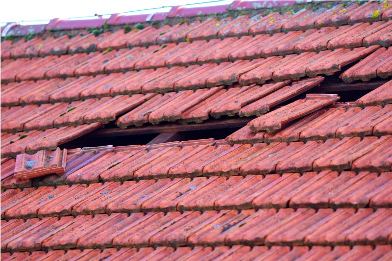 Roof Damage Inspection in Equinunk, PA