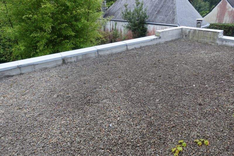 Tar And Gravel Roof Repair in Forest City, PA