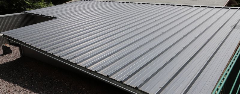 Tin Roof Installation in Equinunk, PA