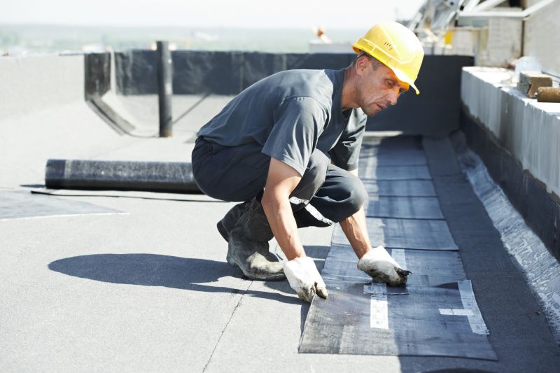 Tpo Roof Repair in Equinunk, PA